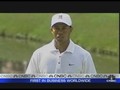 Tiger Takes Hiatus&sbquo;  pt. 2