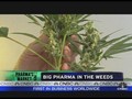 Big Pharma In the "Weed"